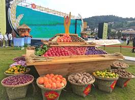 src=http___pic3.newssc.org_upload_ori_0014000000000_20210923_1632397396574.jpg&refer=http___pic3.newssc