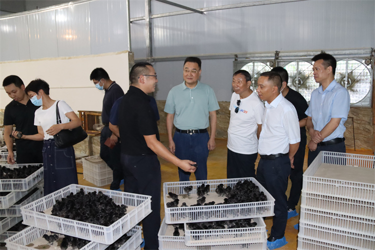 1660525901534209.jpg IMG_0617.jpg