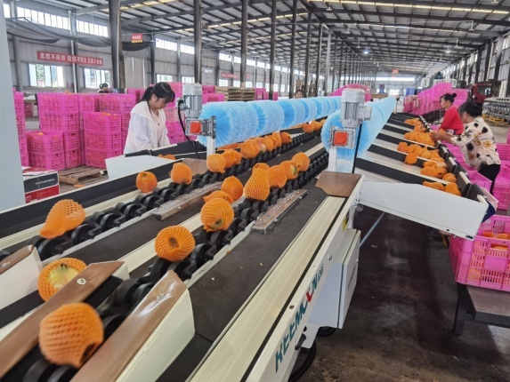 ayx爱游戏集团：借力新零售  助农保增收