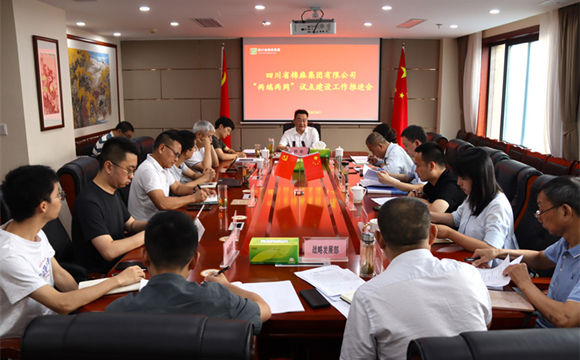 邓华主持召开集团公司“两端两网”试点建筑工作推进会